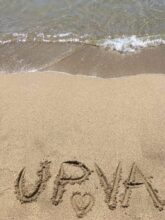 L’association UPVA66 a déménagé !